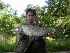 Hron. 76cm 3 8 kg n